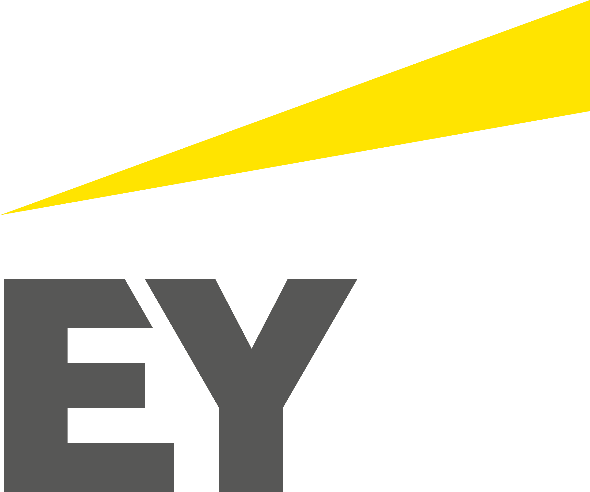 sydney brouwer ernst young
